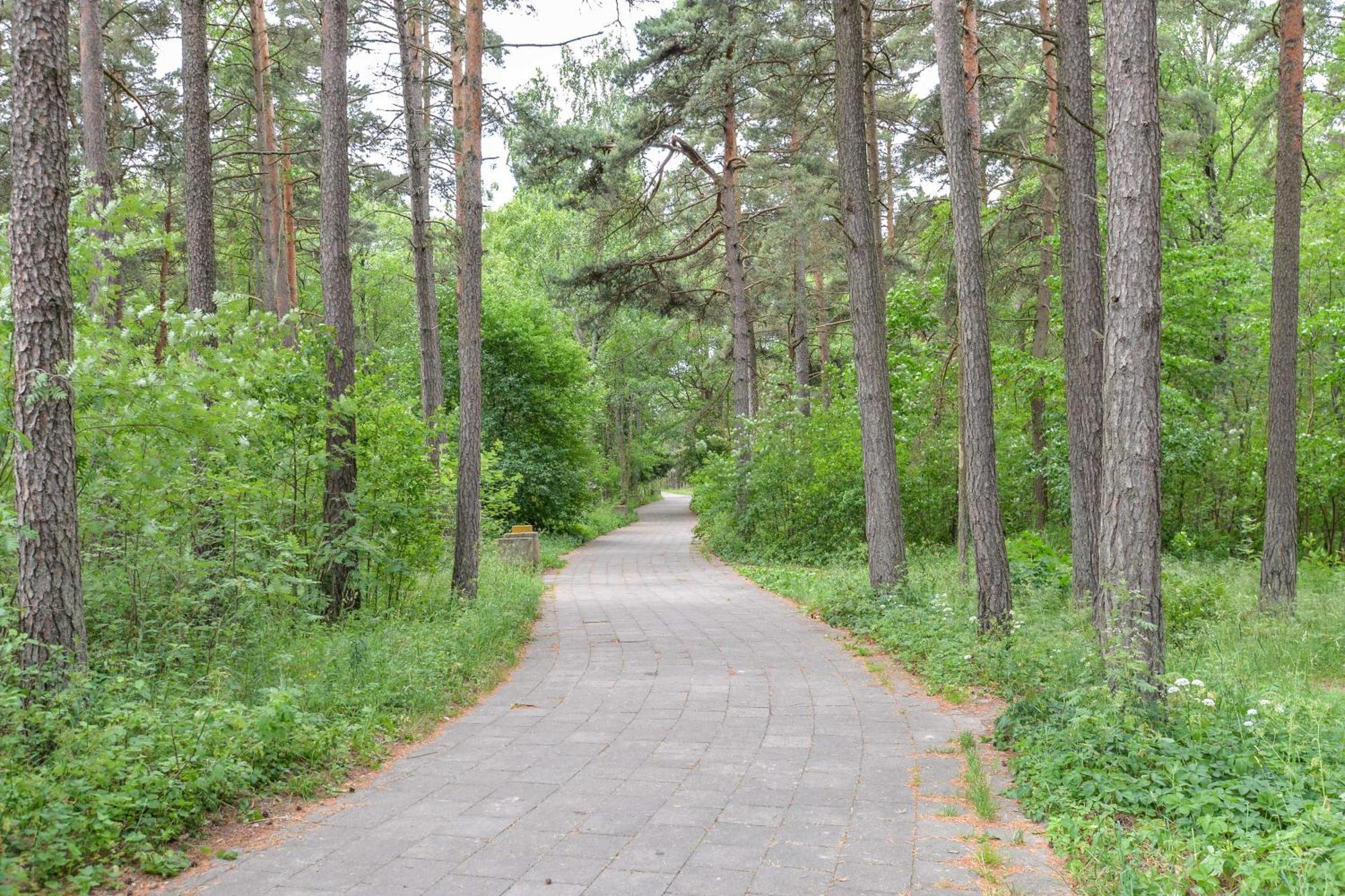 Studija Vanagupes 13 Palanga Bagian luar foto